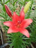 [5076 Break Out No02.JPG]